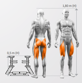 DHZ Titan Mechanix Leg Press