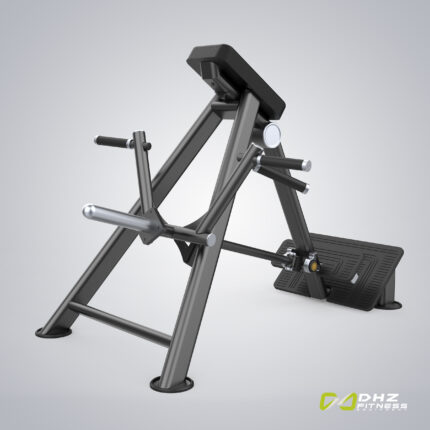 DHZ Evost III Incline Level T-Bar Row