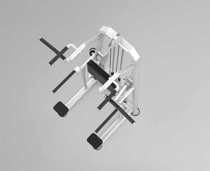 DHZ Evost III Dip/Chin Assist