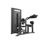 DHZ Evost III DUAL Abdominal & Back Extension