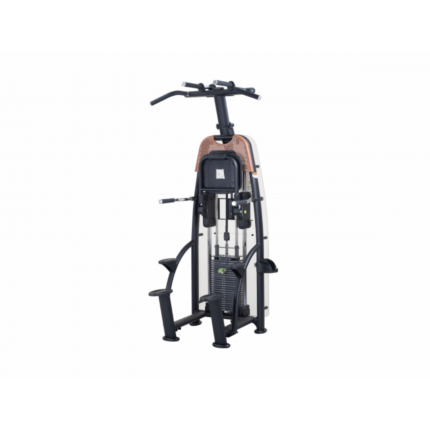 SportsArt Assisted Chin and Dip