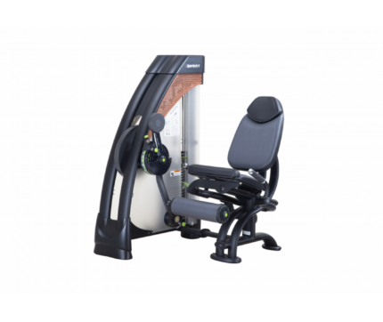 SportsArt Leg Extension